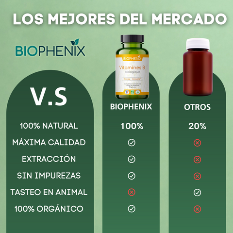 VITAMINA B