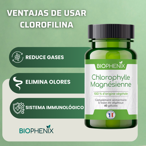 CLOROFILINA