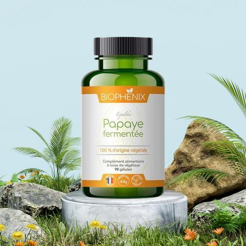 PAPAYA