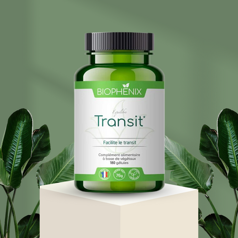 TRANSIT